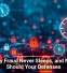 Identity Fraud Never Sleeps, and Neither Should Your Defenses